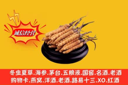 七台河新兴区求购回收虫草多少钱每克